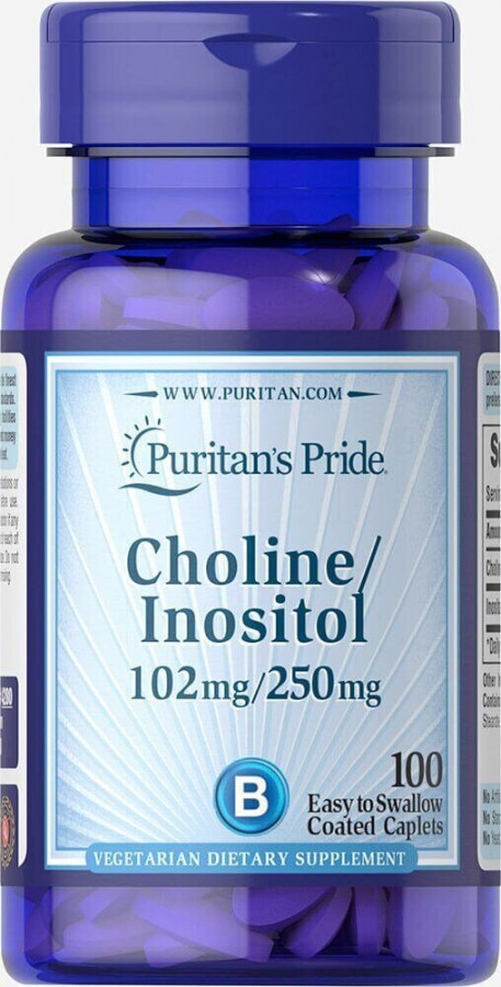 Холин Битартрат Инозитол, Choline Bitartrate Inositol, Puritan's Pride, 102 мг/250 мг, 100 таблеток